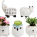 Small Succulent Pots with Drainage, Ceramic Animal Planter