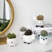 Small Succulent Pots with Drainage, Ceramic Animal Planter