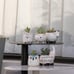 Small Succulent Pots with Drainage, Ceramic Animal Planter