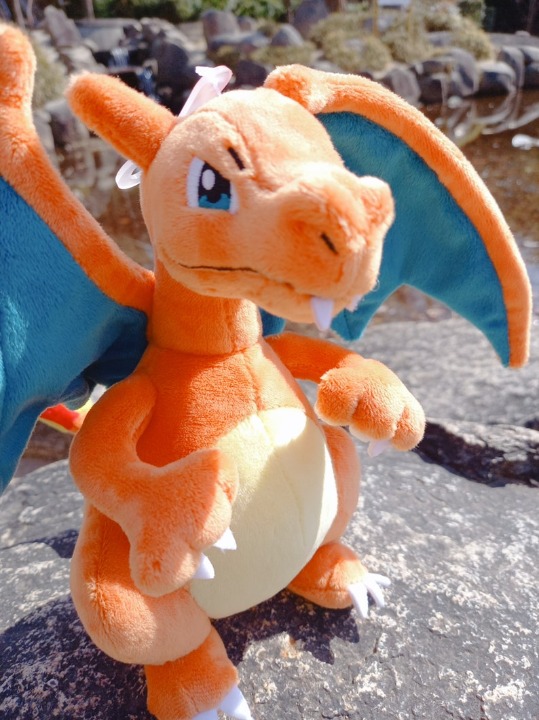Charizard Plush Pokémon All Star Collection