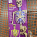 skelly light kit LED 12 ft.