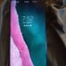 Samsung Galaxy S10+