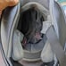 Shoei Motorcycle Helmet Sz Small
