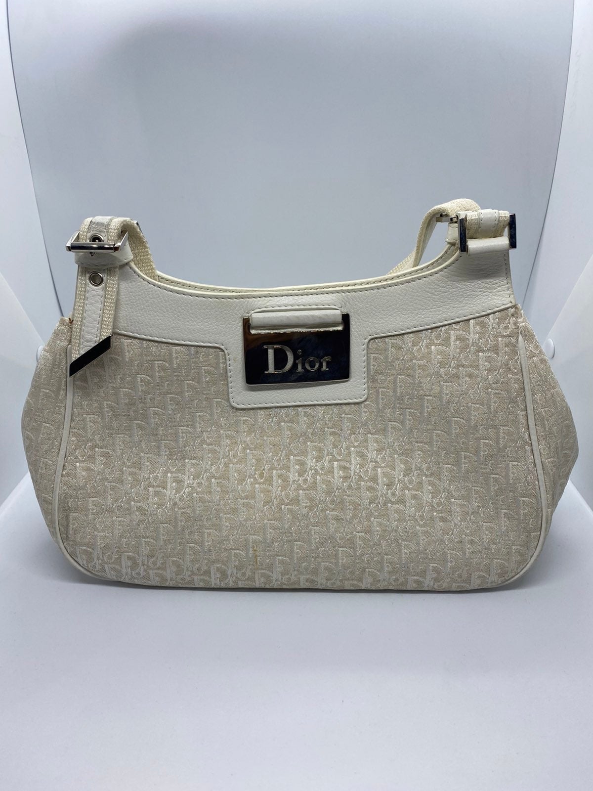 Christian Dior travel handbags