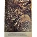 UNDINE DE LA MOTTE FOUQUE ARTHUR RACKHAM HERITAGE PRESS VG SLIPCASE ELEMENTAL