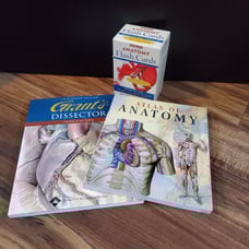 Anatomy College Learning Bundle