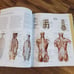 Anatomy College Learning Bundle