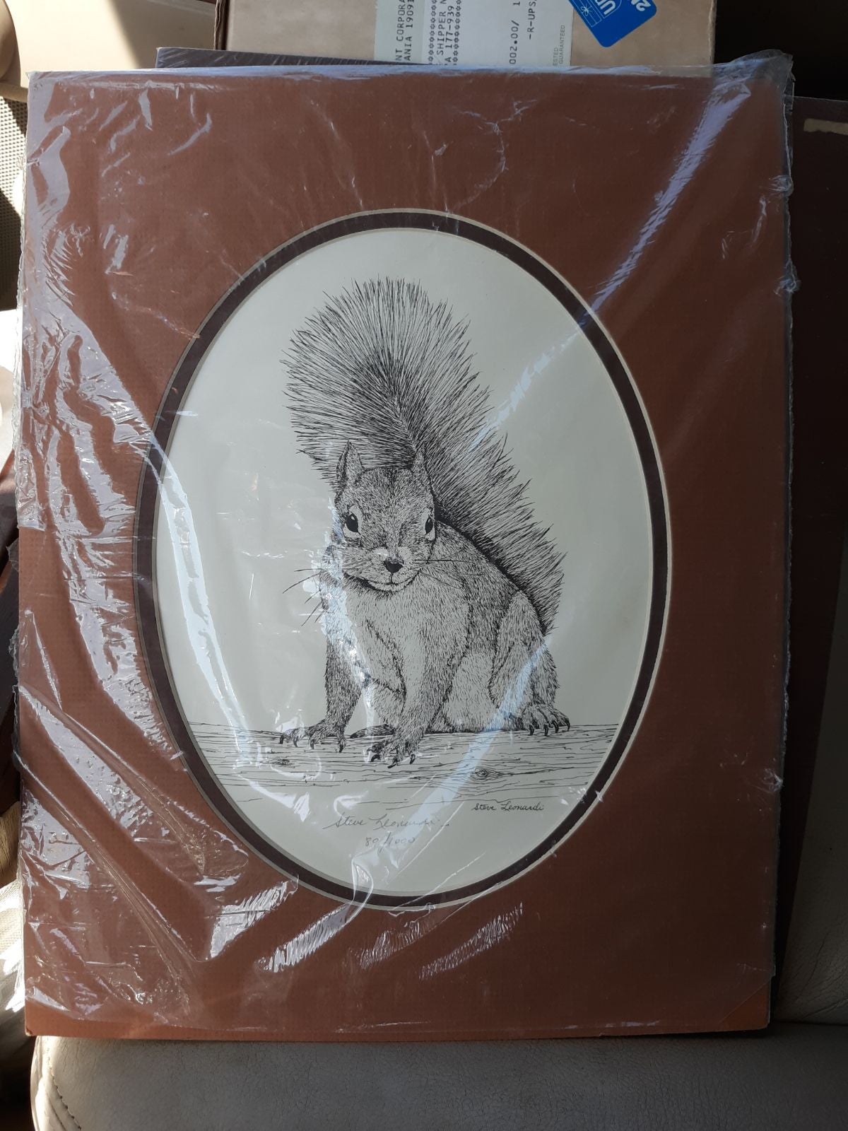 Steve Leonardi Wildlife Squirrel Signed/Numbered Lithograph Print Picture