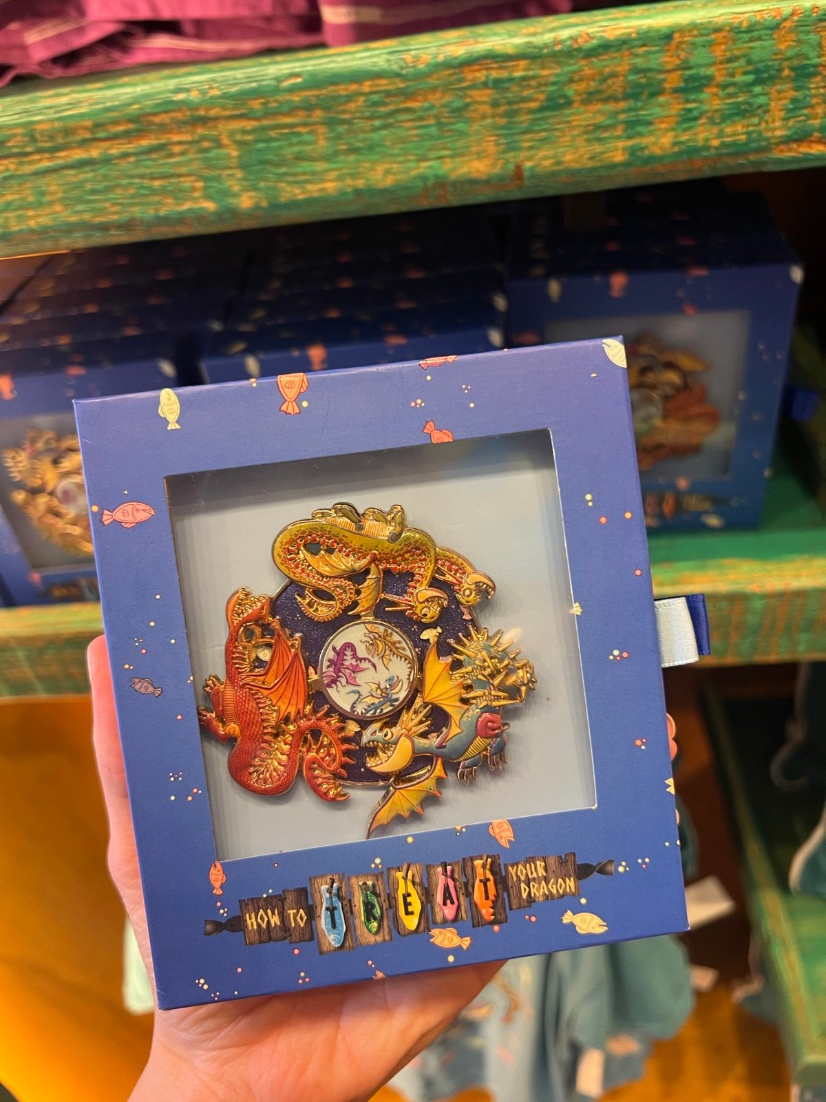 How to Train Your Dragon Treat Limited Pin Isle of Berk Epic Universe LR Spin