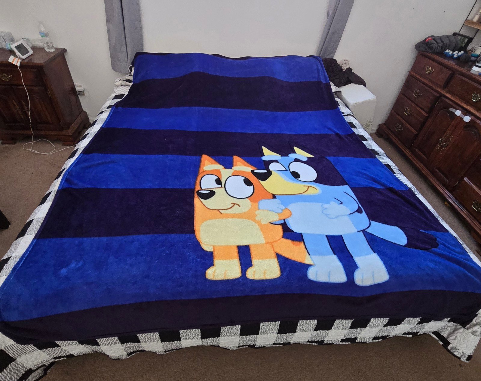 Bluey twin bedding bundle
