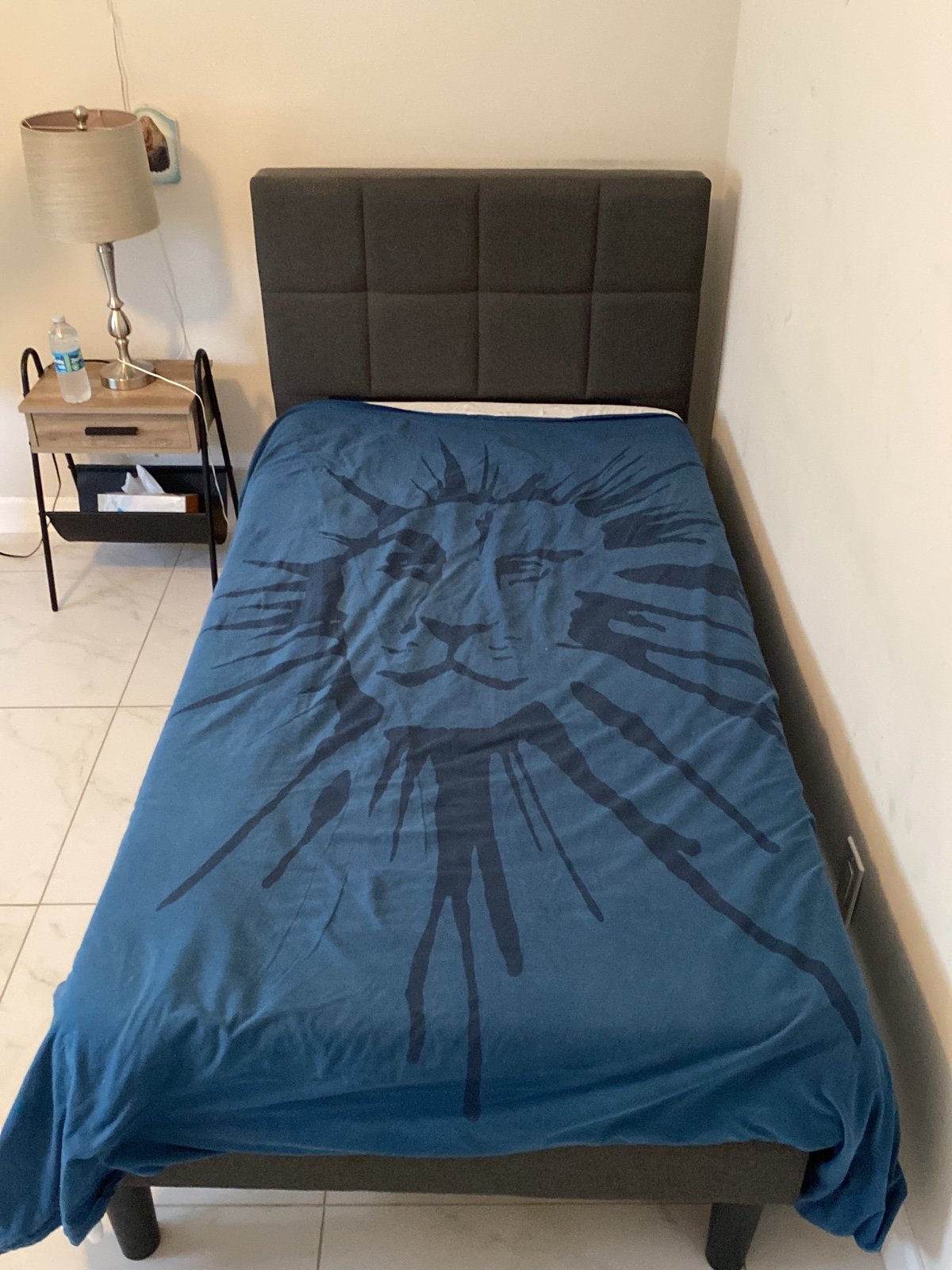 Single bed with mattress ( pickups only) 33486 Boca raton (FL)