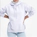 Everlane The Oversized Fleece Hoodie in Lavender XXSmall New Womens Pullover