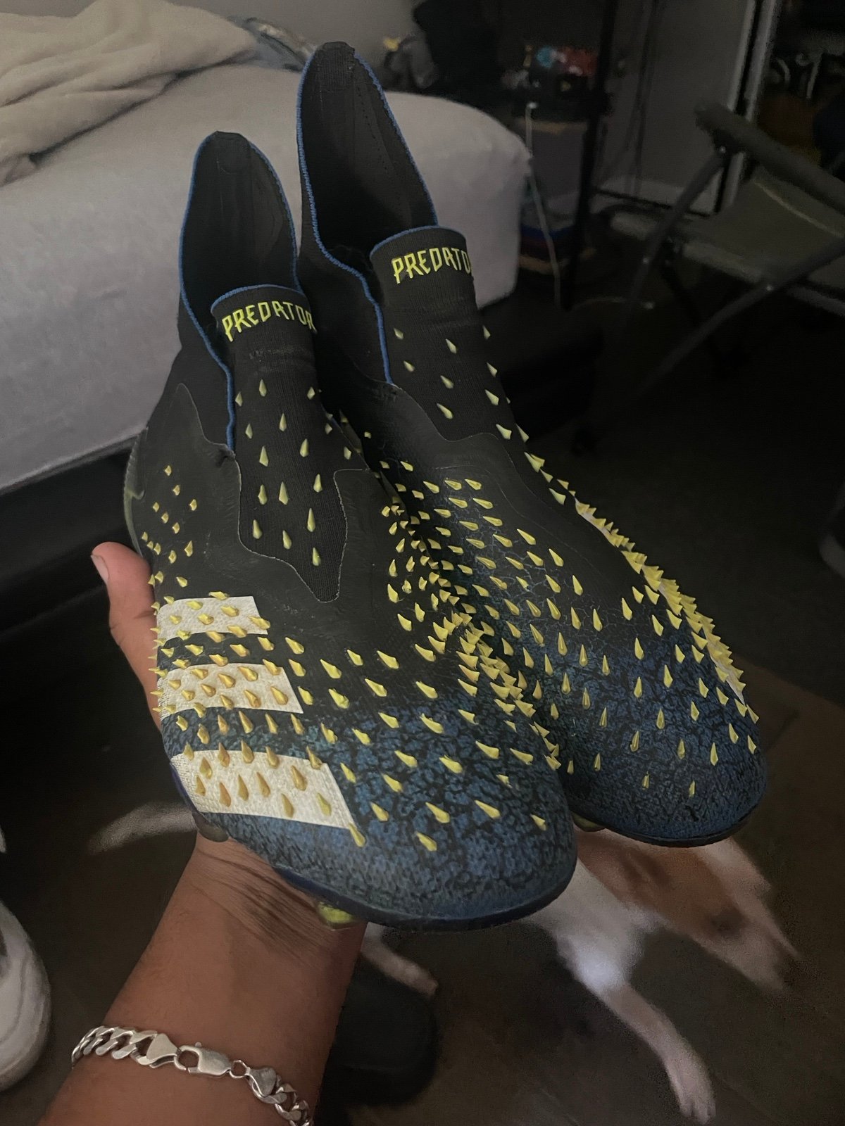 adidas predators