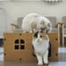 Cat Scratching Board Cat Nest