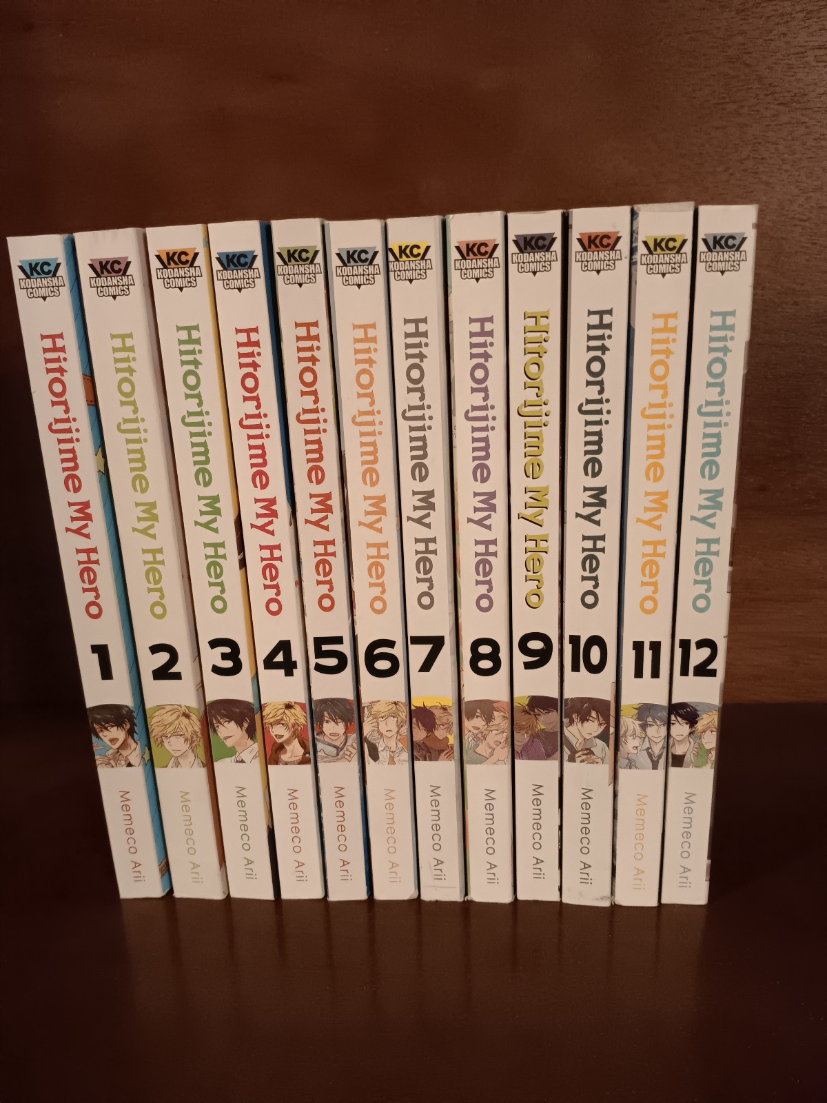 Hitorijime My Hero Vol 1-12