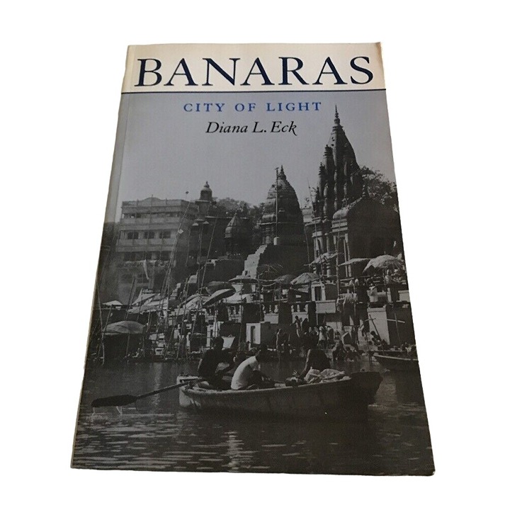Bananas City Of Light Diana L. Eck First Paperback Printing 1983