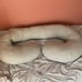 Pregnancy pillow