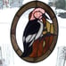 Red-headed Woodpecker