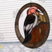 Red-headed Woodpecker