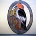 Red-headed Woodpecker