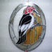 Red-headed Woodpecker
