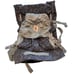 Ergobaby Carrier All Positions 360 with Lumbar Support