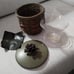 Gorgeous Longaberger Collectors Club ACT Woodlands basket, lid & protector