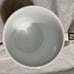 Western Marsh “ Ducks of Northern America Coffee Mug”