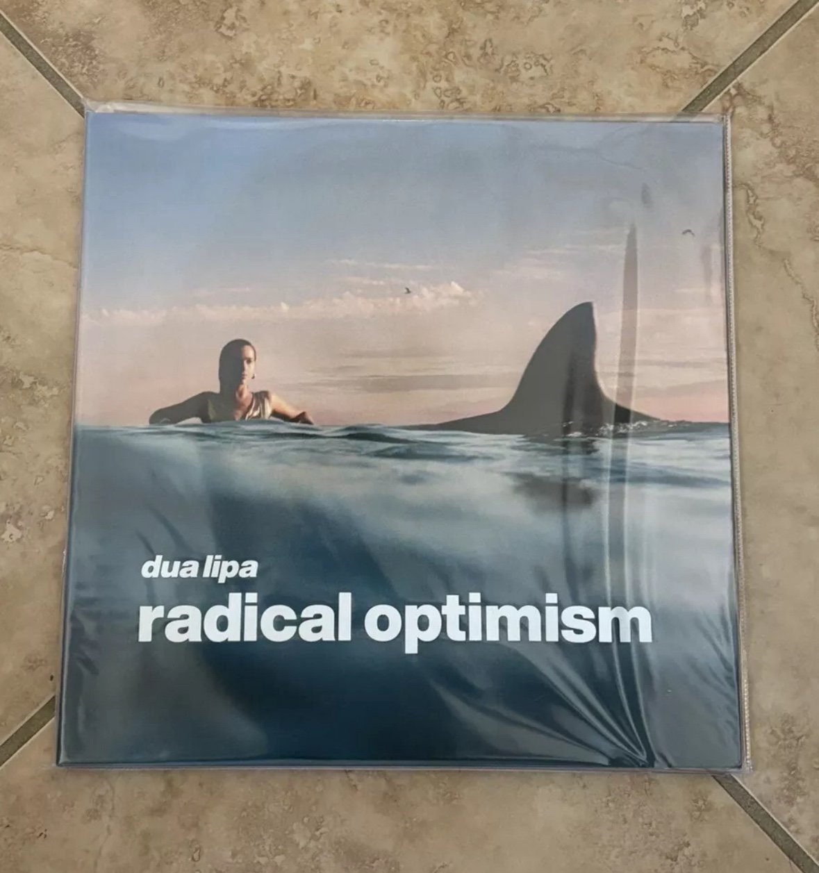 Dua Lipa SIGNED ART CARD Radical Optimism Exclusive Deluxe Vinyl LP