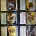 Mtg Mount commander deck