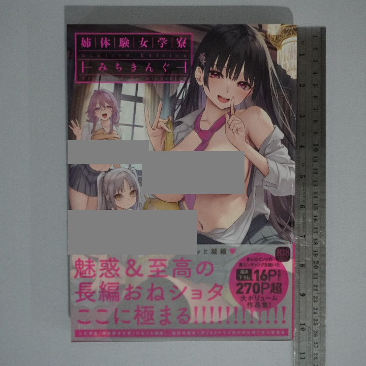 Michiking - Ane Taiken Jogaku Ryou ~Limited Edition~