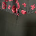 Ramy Brook Open Back Jumpsuit New With Tags