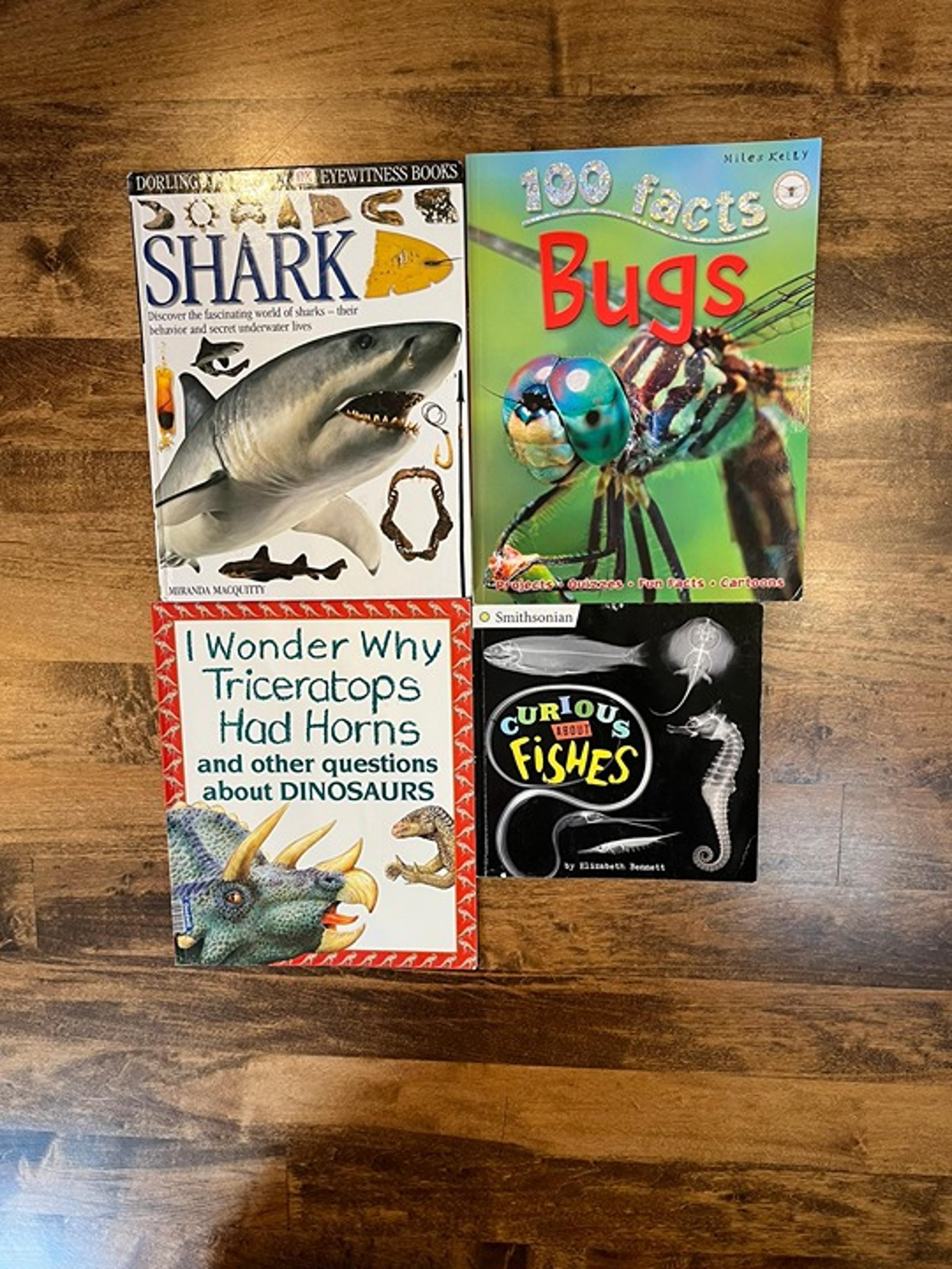 Book Bundle - 100 facts about Bugs, DK Shark, Questions about Dinosaurs, Fishes