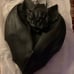 NWT- KILLSTAR ADORABLE VAMPED UP BACKPACK