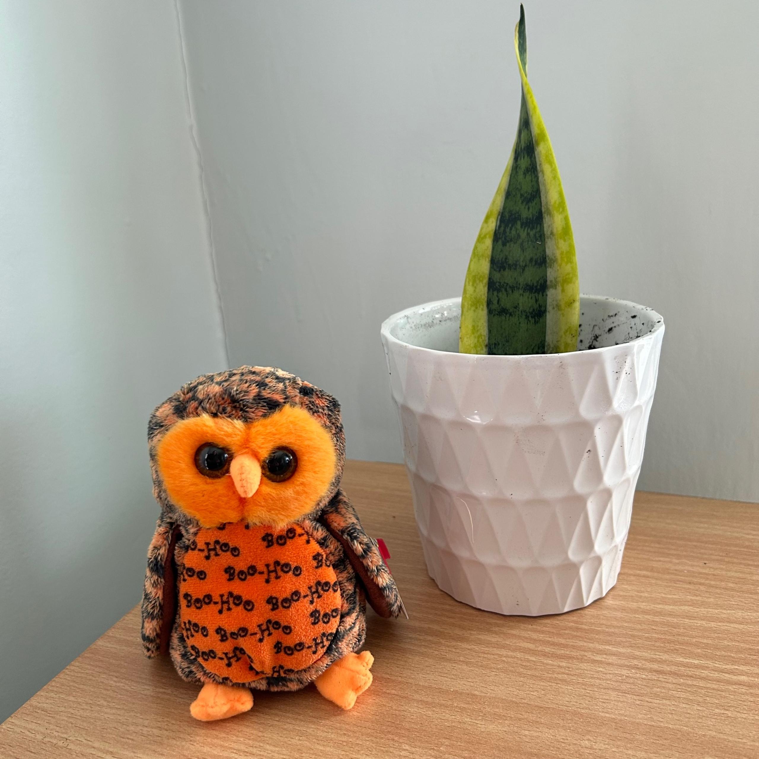Vintage TY Beanie Baby Halloween Owl Plushie Stuffed Animal