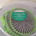 Hitachi (Metabo #2 Square Coarse Head 8 x 2 1/2 in. Collated Screws - 800 Count