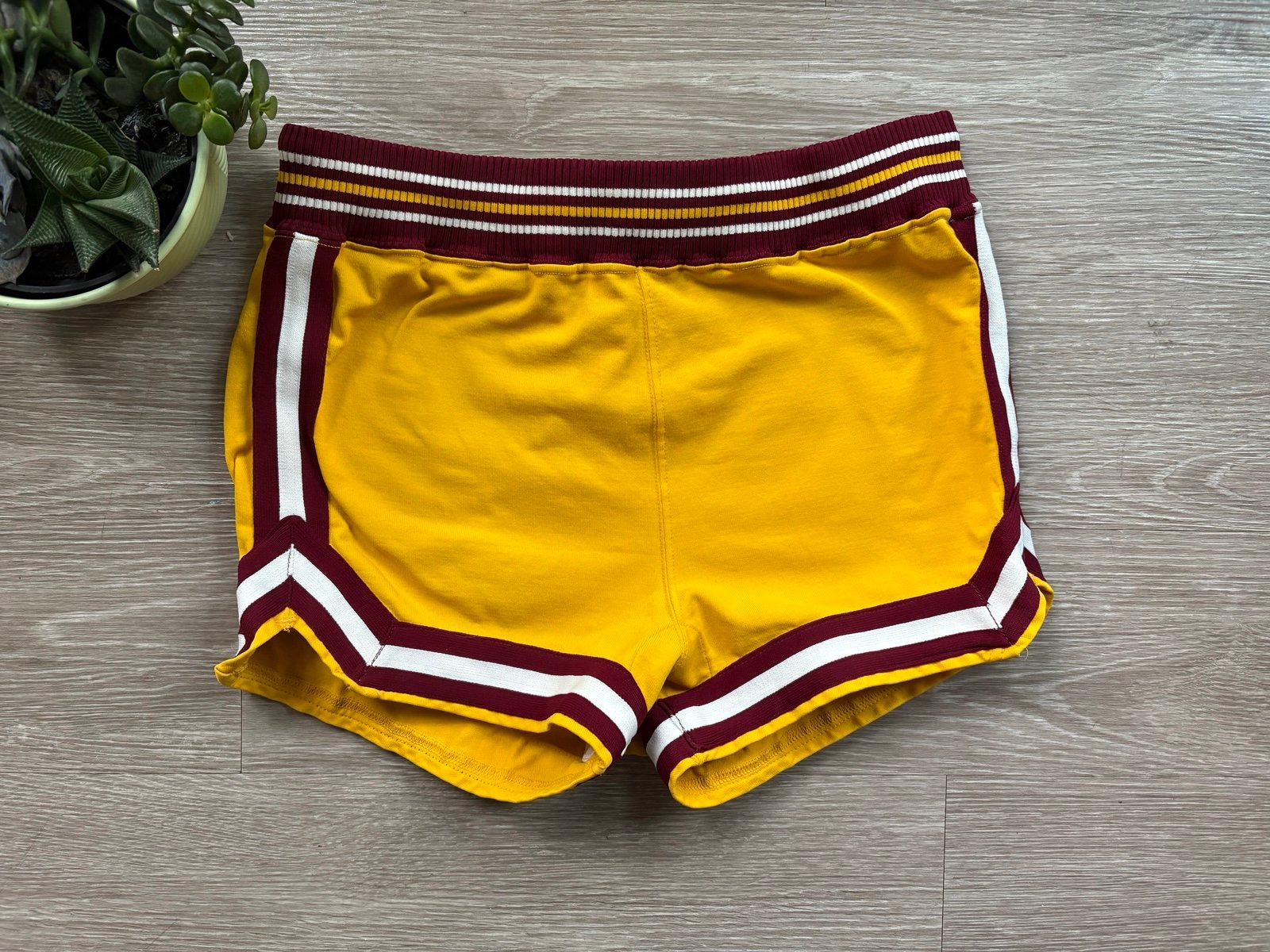 Men’s 1970’s Vintage Medalist Sand-Knit Minnesota Gophers Sz 34 Athletic Shorts