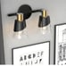 Clear Glass Shade Wall Lamp (2 Lights)