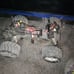 Traxxas stampede