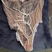 Victoria’s Secret Romantic Sexy Chic Nude white one piece teddy lingerie