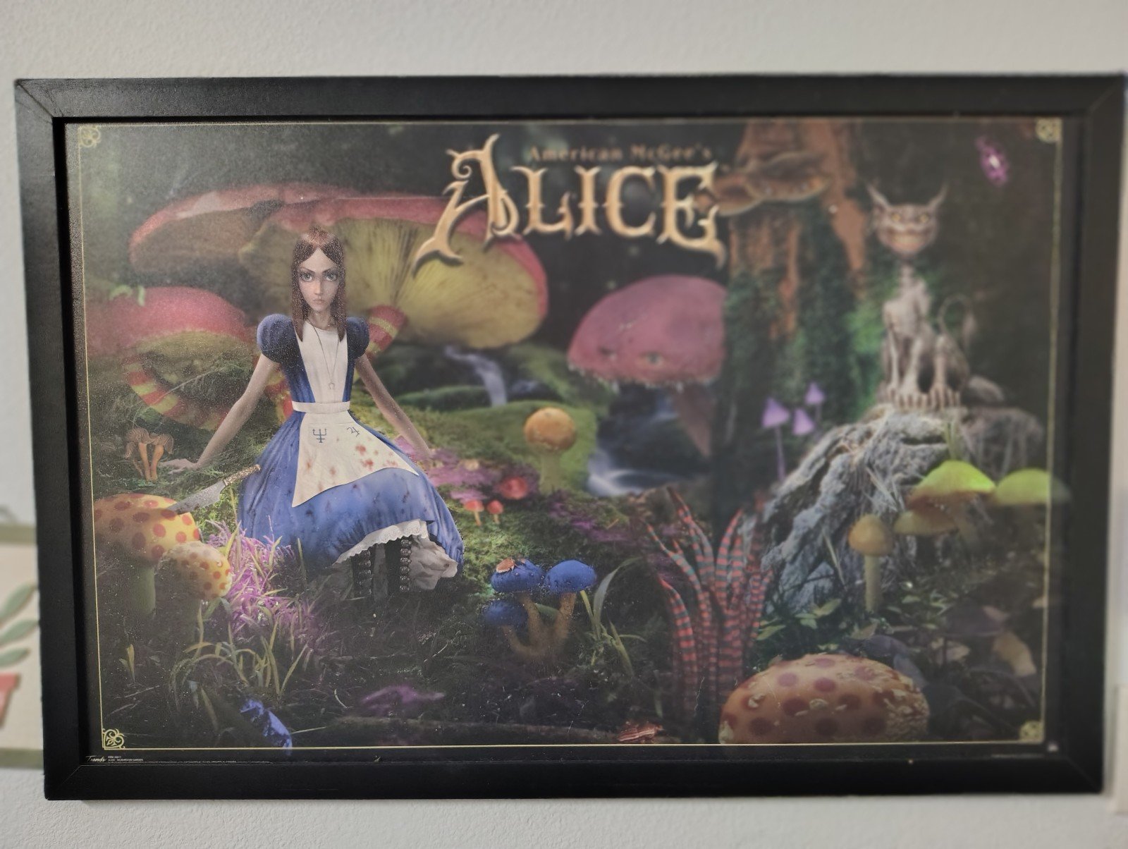 American McGee's Alice in Wonderland Mushroom Garden Horror Action game poster