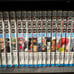 ONE PIECE Volumes 1-30 Set