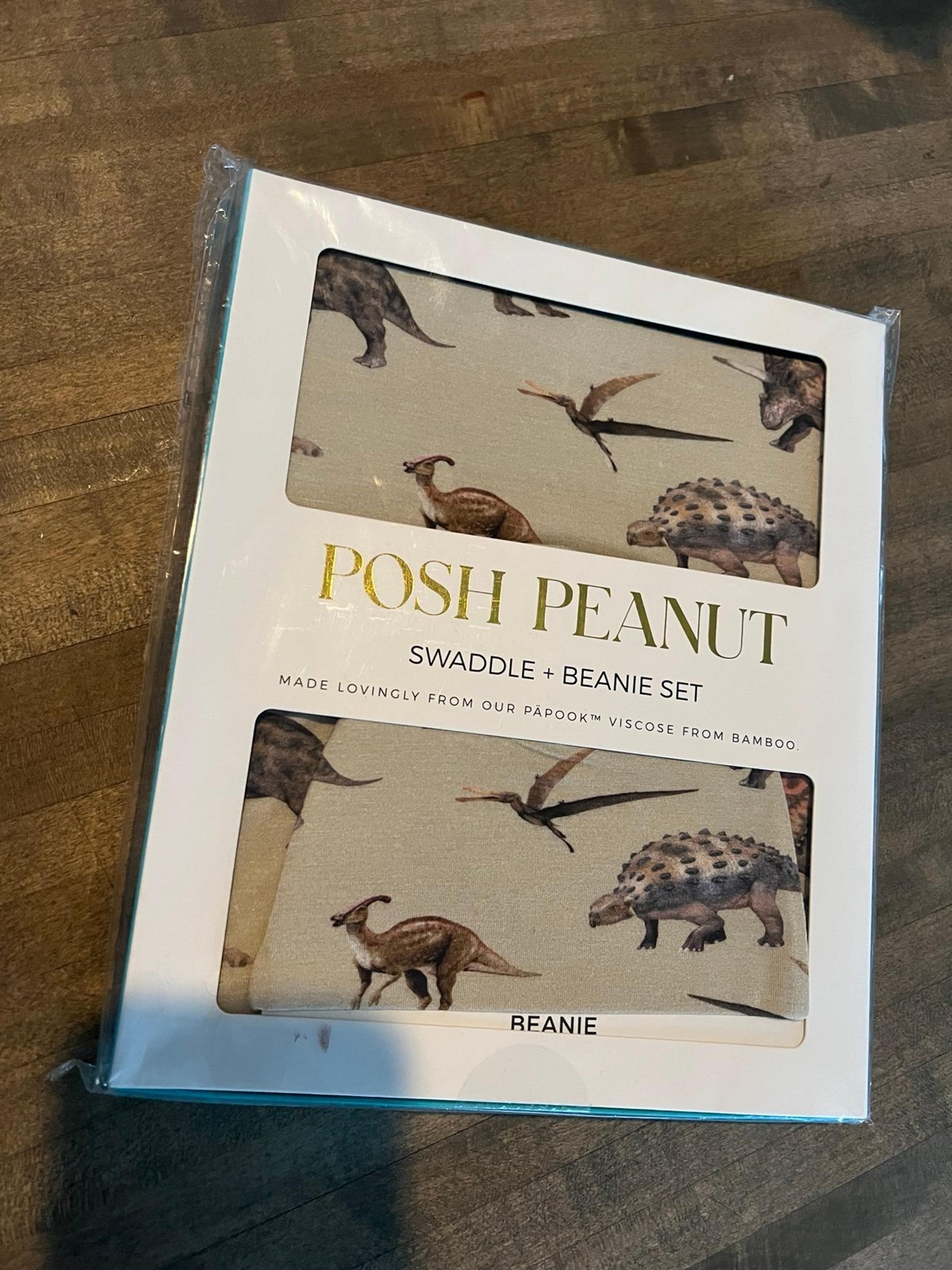 Posh Peanut boys Swaddle vintage Dino