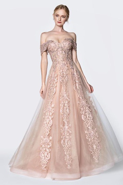 1950s Style Rose Gold Floral Glinda the Good Witch Embroidered Ball Gown