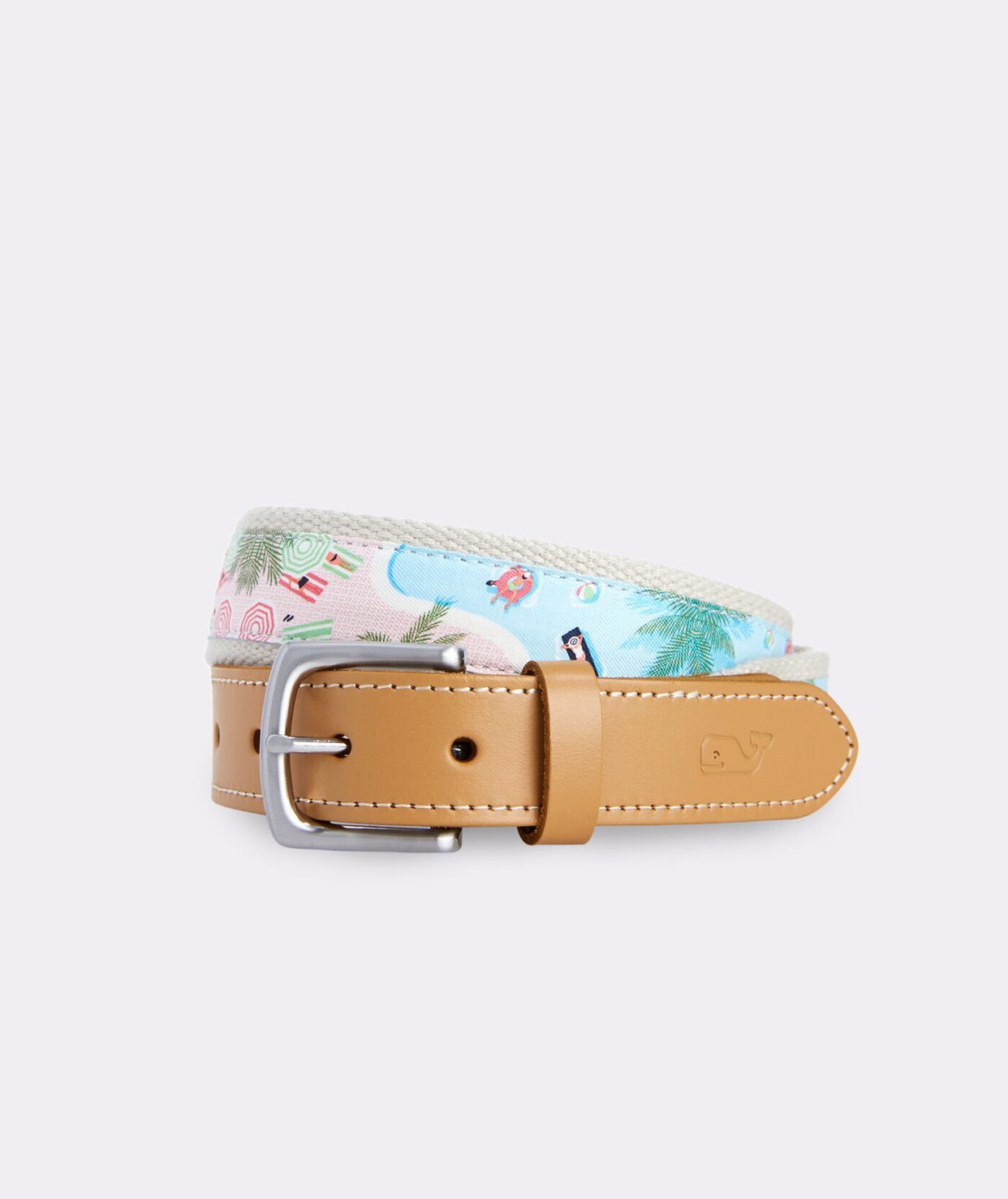 Vineyars vines belt