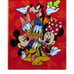 Disneyland Hong Kong Fleece Blanket Mickey Minnie Donald Duck Goofy Daisy Pluto