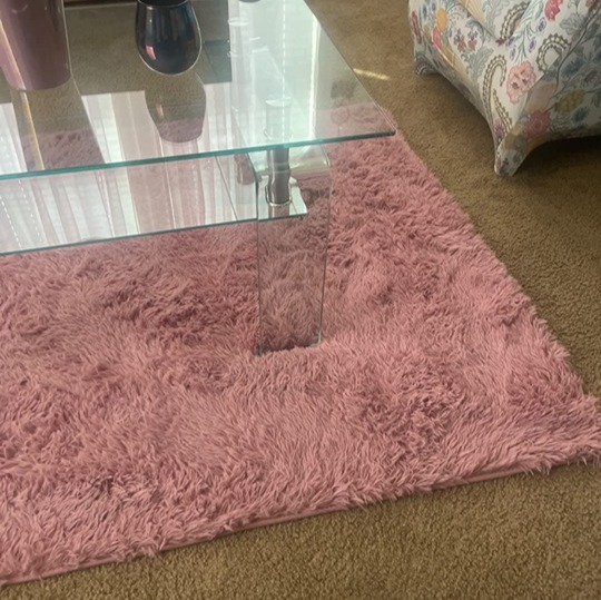 Blush Shaggy Rugs for Bedroom Living Room, Super Soft Fluffy Rugs, 4x5.9 Feet