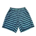 Lululemon Athletica Men’s Blue Striped Active Athletic Gym Shorts