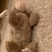 Ty Beanie Babies NIBBLY bunny rabbit err