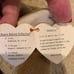 Ty Beanie Babies NIBBLY bunny rabbit err